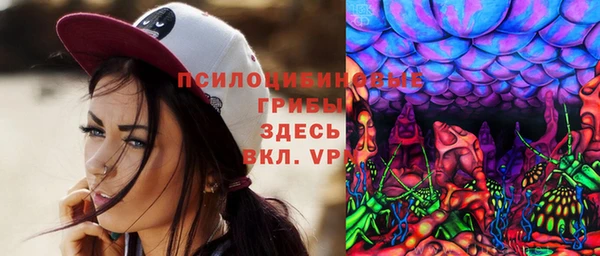 молекула духа Алзамай
