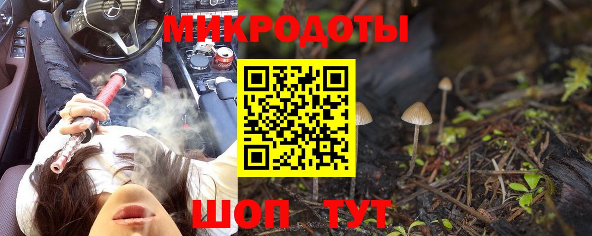 Чапаевск  Галлюциногенные грибы Psilocybe  Вход с VPN 
