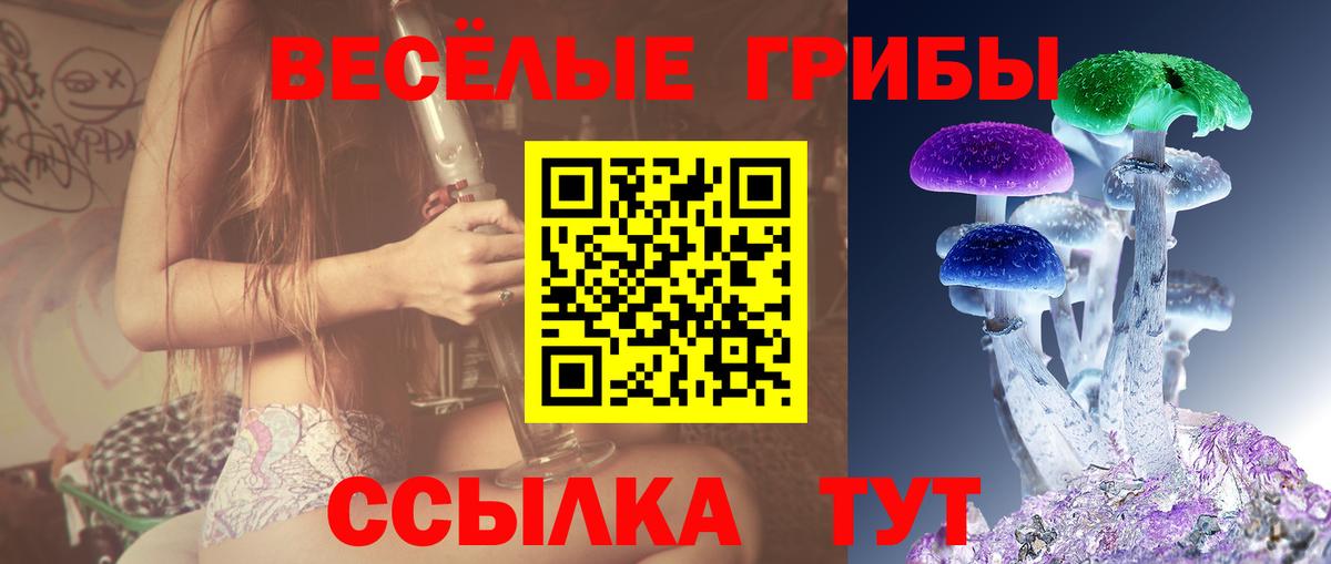 Галлюциногенные грибы мухоморы Чапаевск